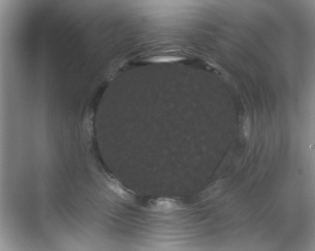 X0000070240475200606091339