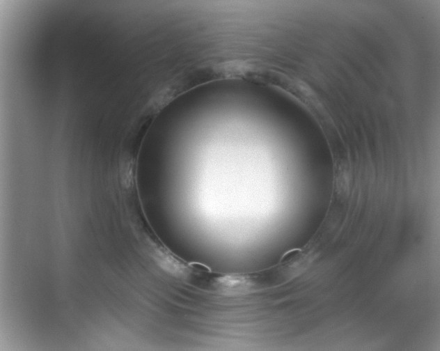 X0000070240477200606091339