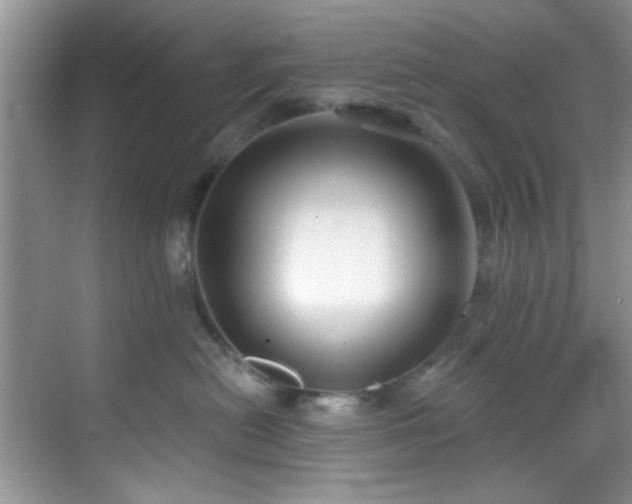 X0000070240478200606091339