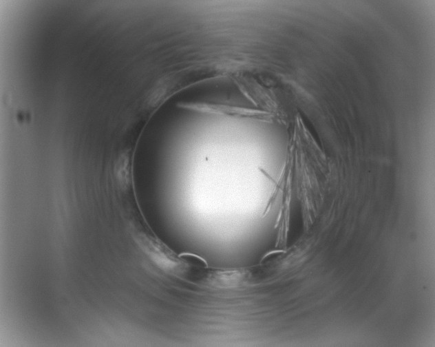 X0000070240479200606091339