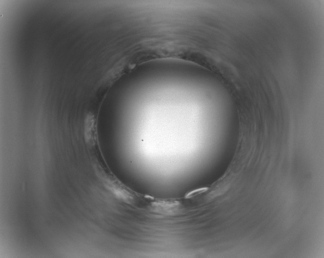 X0000070240480200606091339