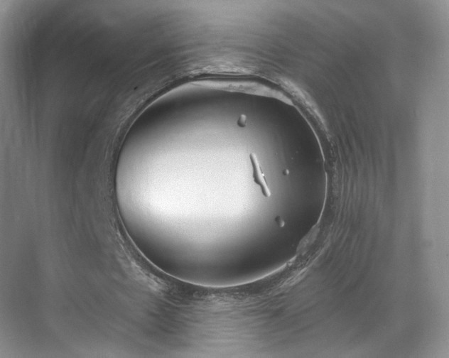 X0000070240481200606091339