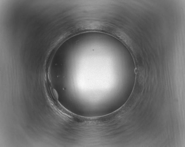 X0000070240482200606091339