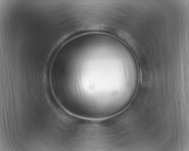 X0000070240483200606091339