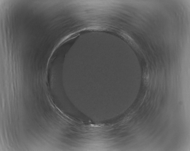 X0000070240484200606091339