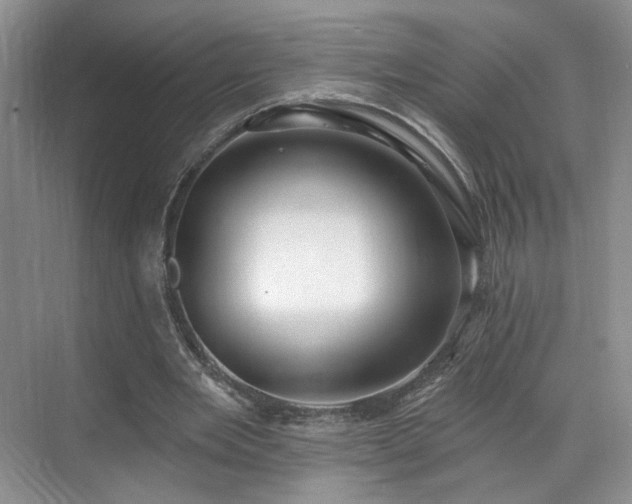 X0000070240485200606091339