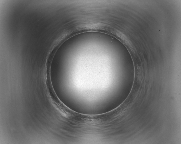 X0000070240486200606091338