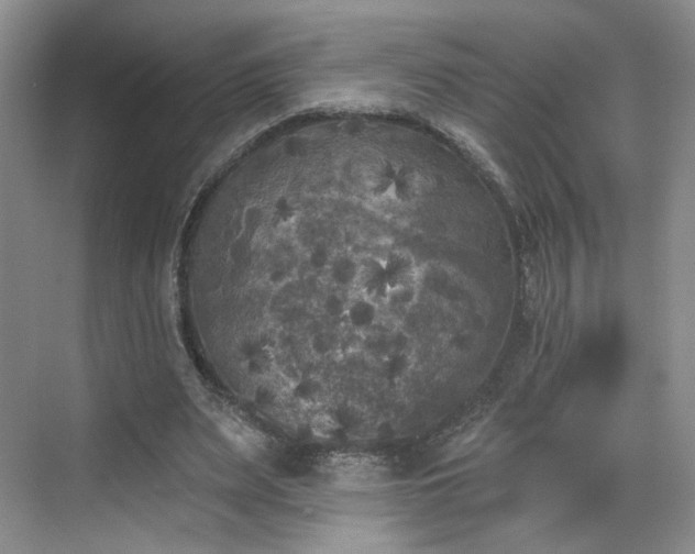 X0000070240487200606091338