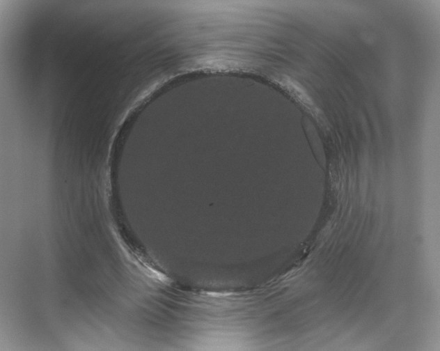 X0000070240488200606091338