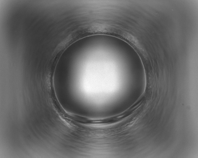 X0000070240489200606091338