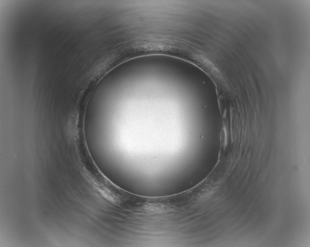 X0000070240490200606091338