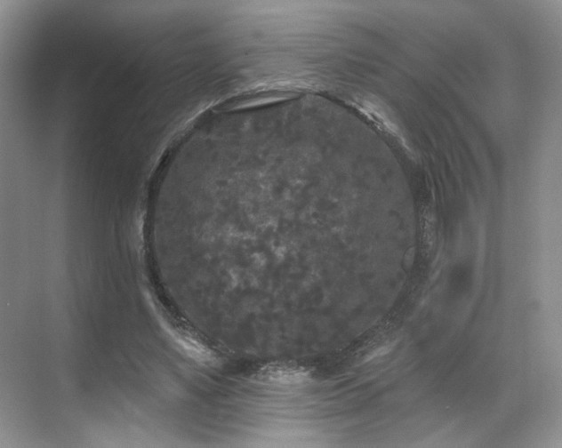 X0000070240491200606091338