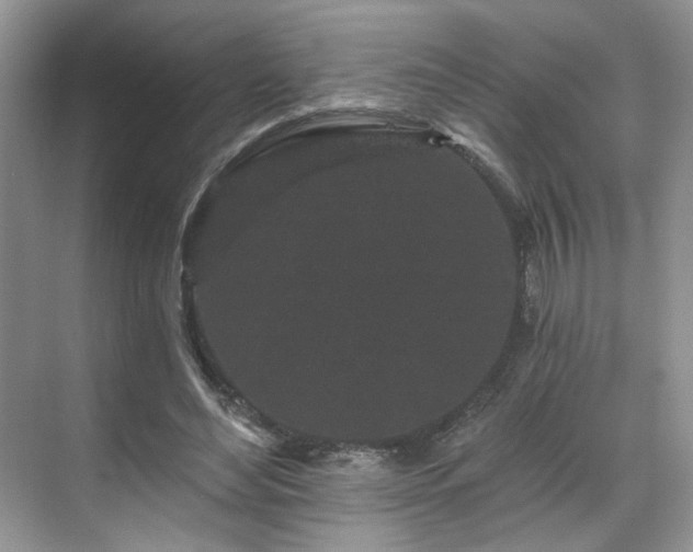 X0000070240492200606091338