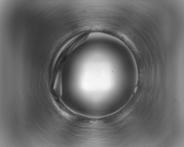 X0000070240493200606091338