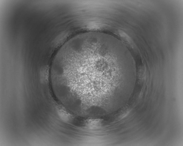 X0000070240495200606091338