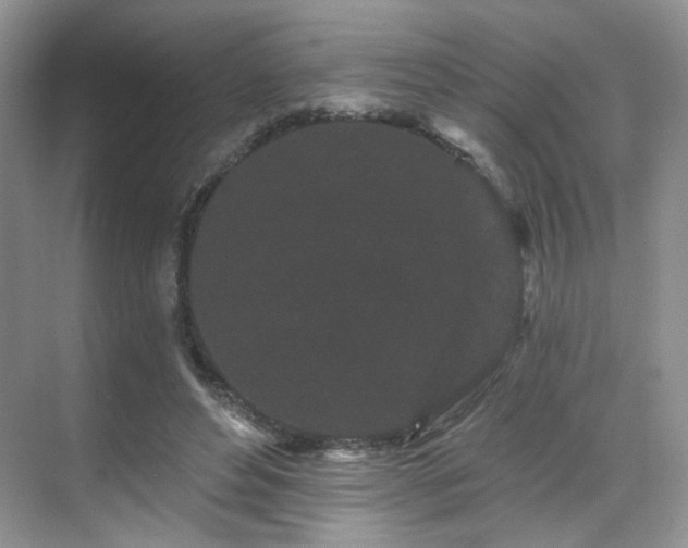 X0000070240496200606091338