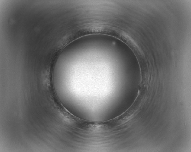 X0000070240497200606091338