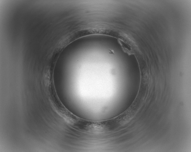 X0000070240498200606091338