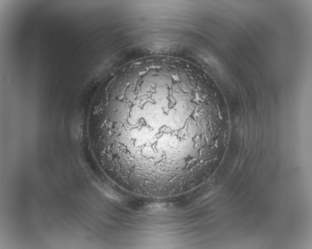 X0000070240499200606091338