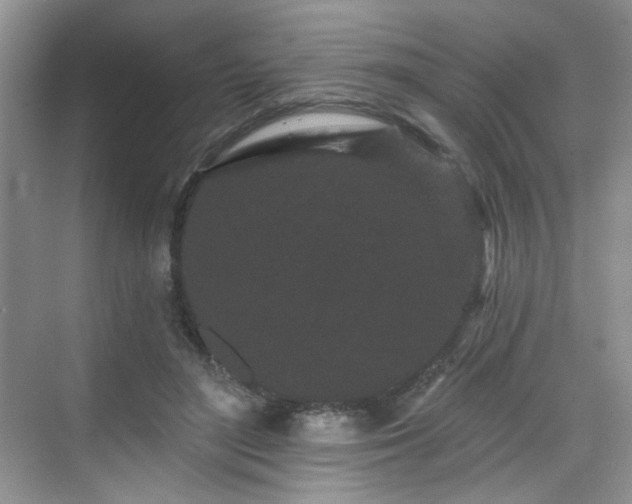 X0000070240500200606091338