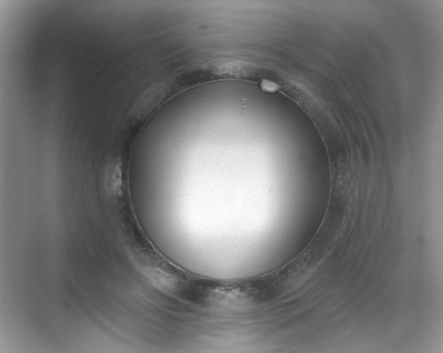 X0000070240502200606091338