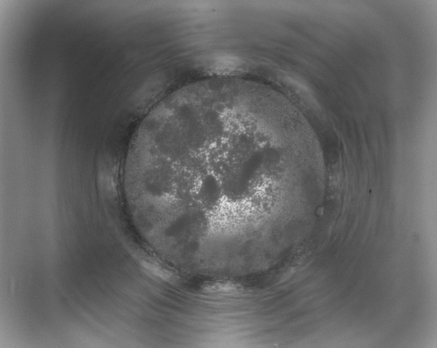 X0000070240503200606091338