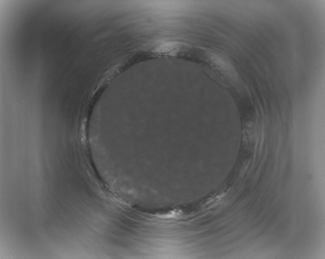 X0000070240504200606091338