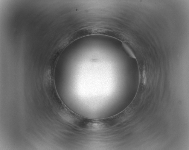 X0000070240506200606091338