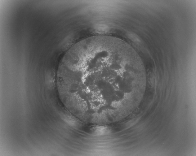 X0000070240507200606091338