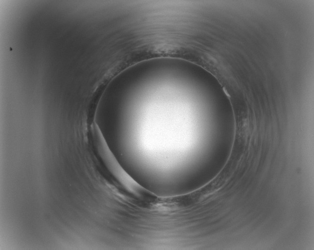 X0000070240508200606091338