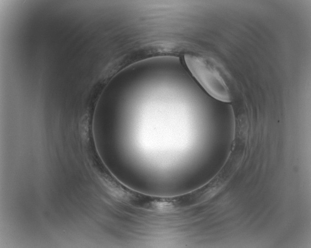 X0000070240509200606091338