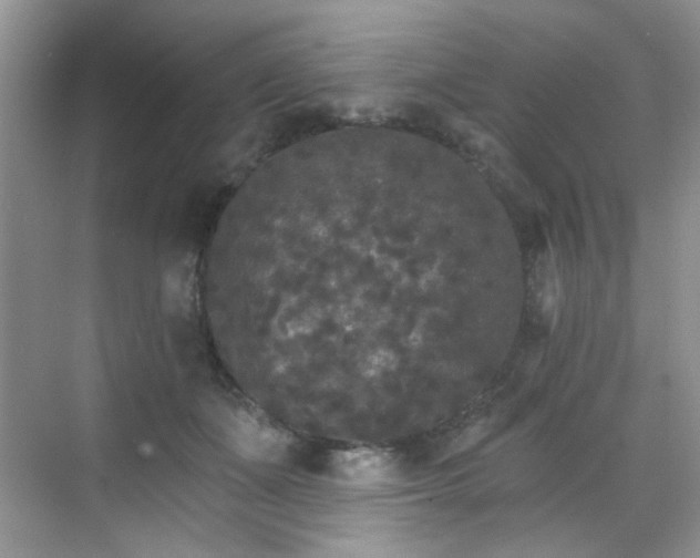 X0000070240511200606091338