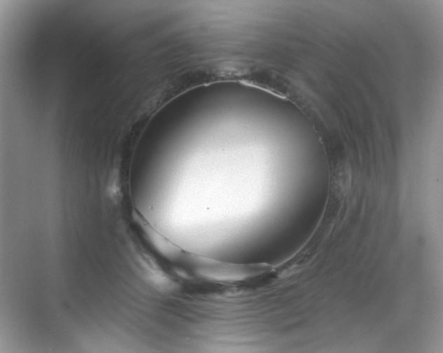 X0000070240512200606091338