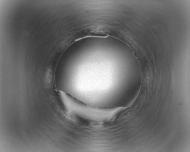 X0000070240513200606091338