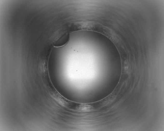 X0000070240514200606091338