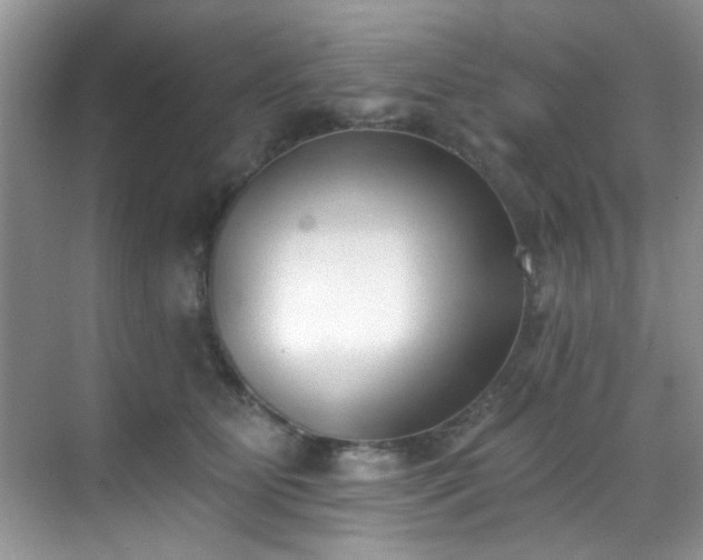 X0000070240515200606091338