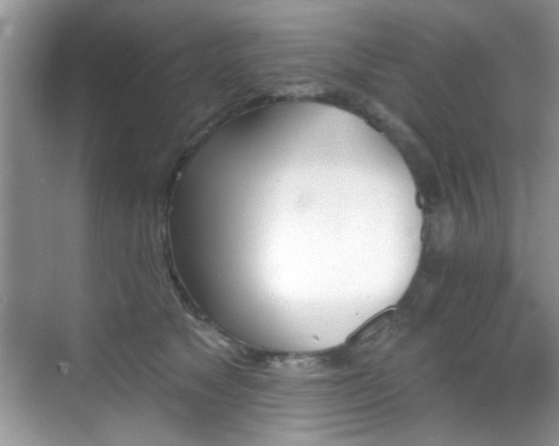 X0000070240517200606091338