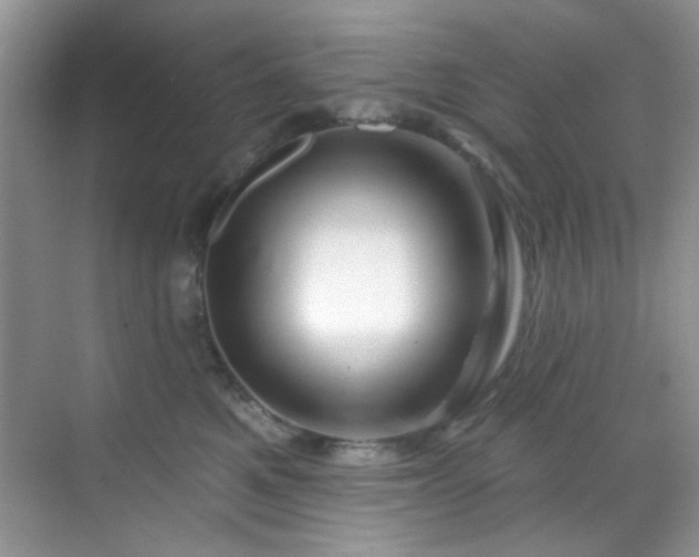 X0000070240521200606091338