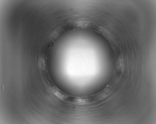 X0000070240522200606091338