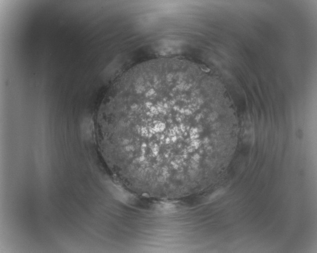 X0000070240523200606091338