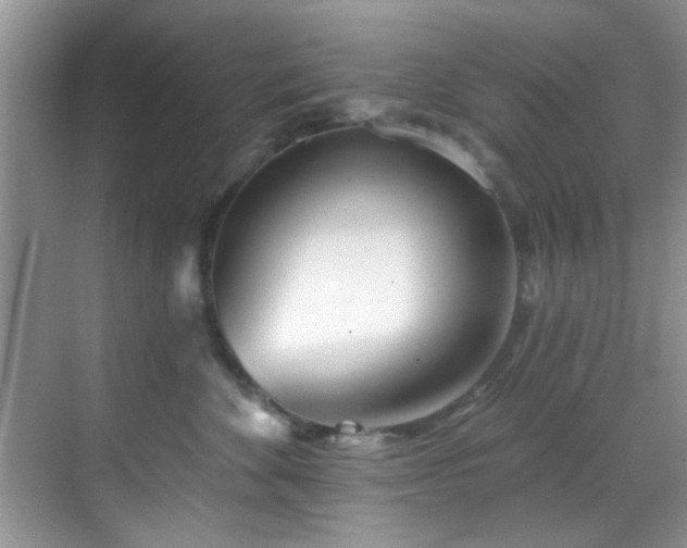 X0000070240524200606091338