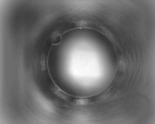 X0000070240525200606091338