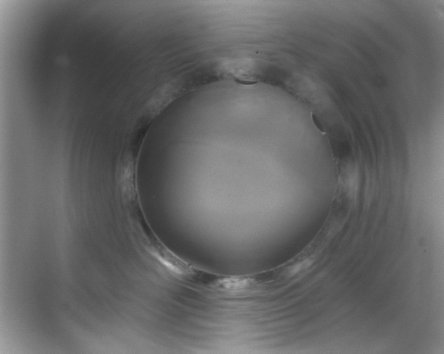 X0000070240526200606091338