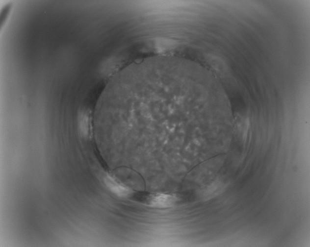 X0000070240527200606091338