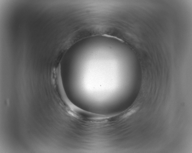 X0000070240528200606091338