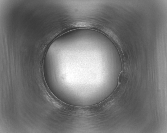 X0000070240529200606091337