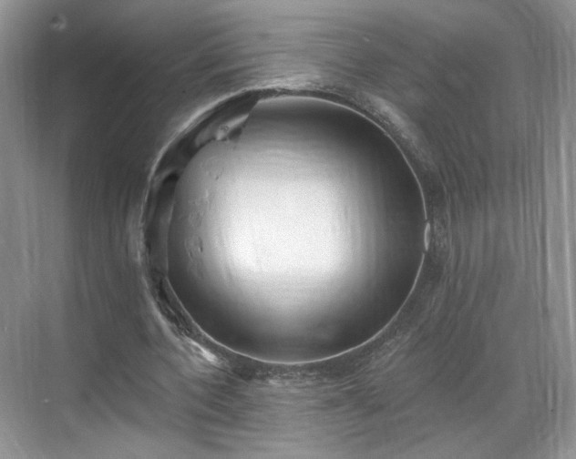 X0000070240532200606091337