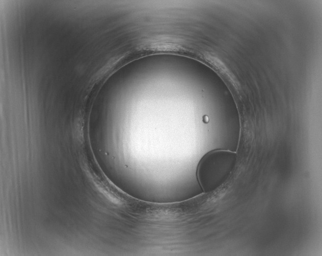 X0000070240533200606091337