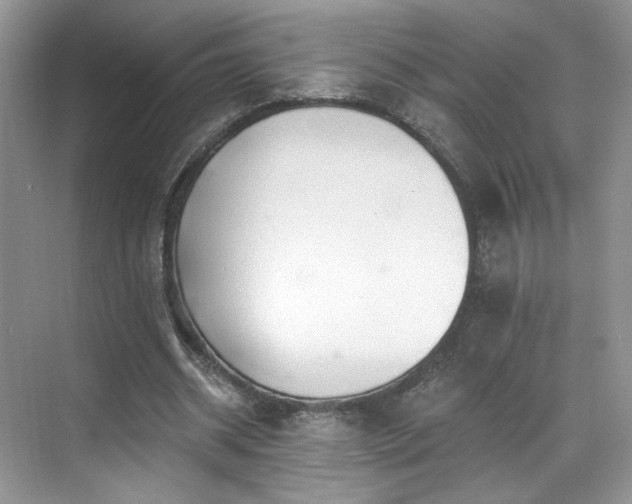 X0000070240534200606091337