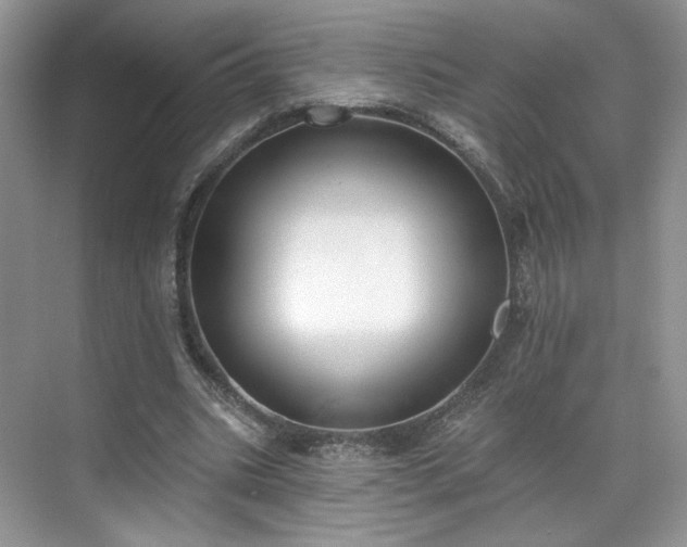 X0000070240535200606091337